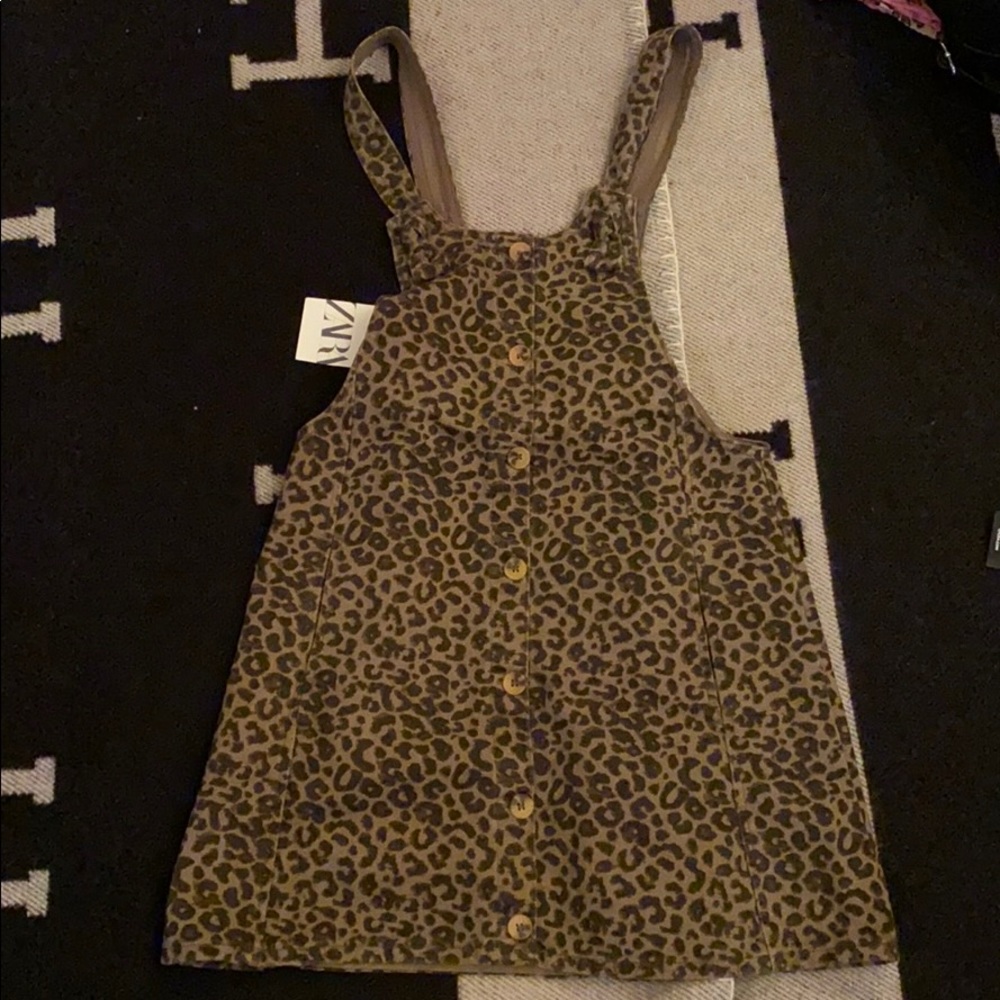 Zara dress